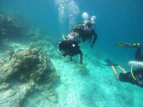 Lagoon Dive Club