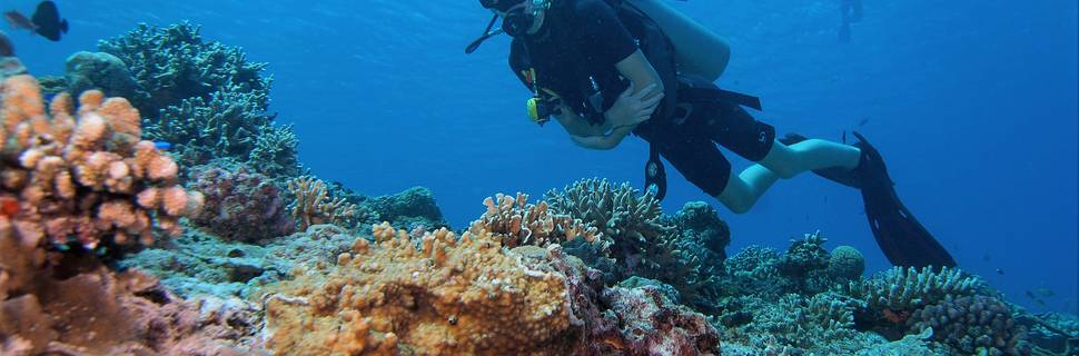 Lutwala Dive