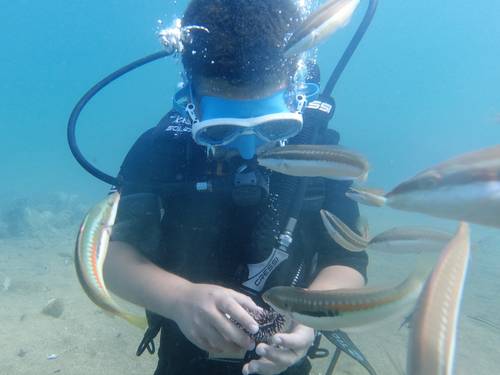 Ionian Divers