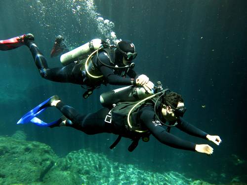 La Calypso Dive Center - Cenote diving