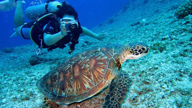 Nakai Dhiggiri Diving Center