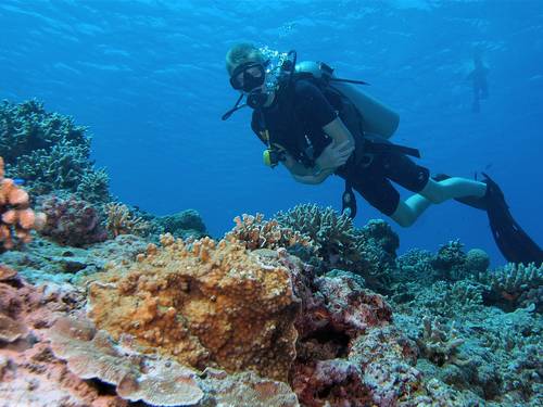 Lutwala Dive