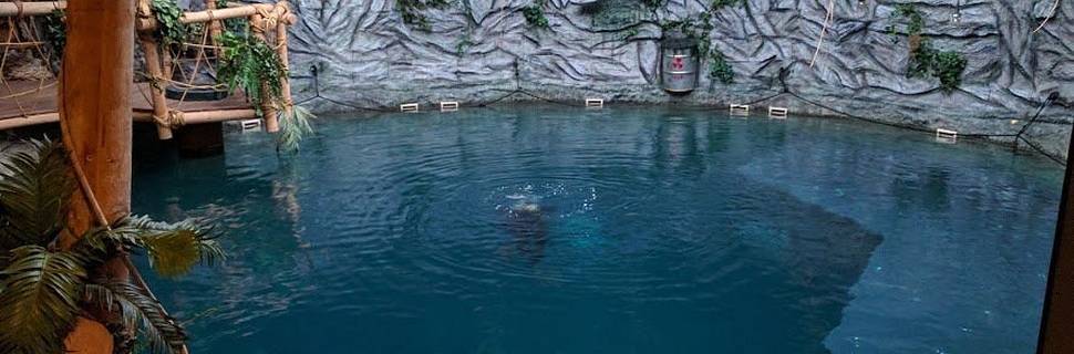 Diveclub