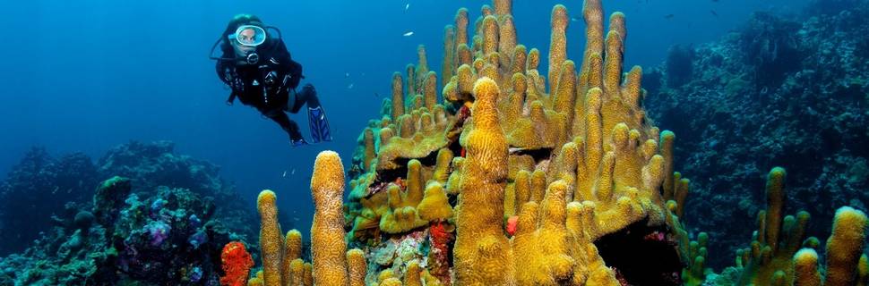 Anse Chastanet Scuba St Lucia