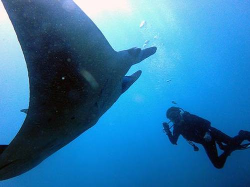 Bali View Dive Center