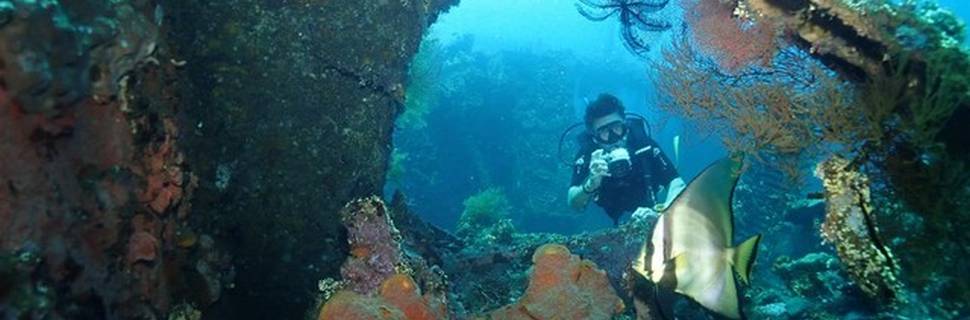 Tulamben Dive - Diving and Snorkelling