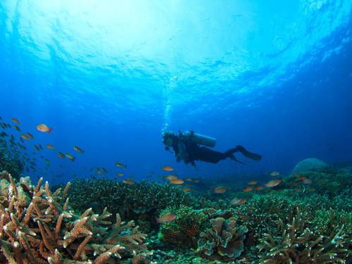 Pocna Dive Center