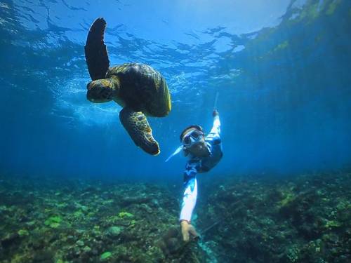 Green Lagoon Lembongan