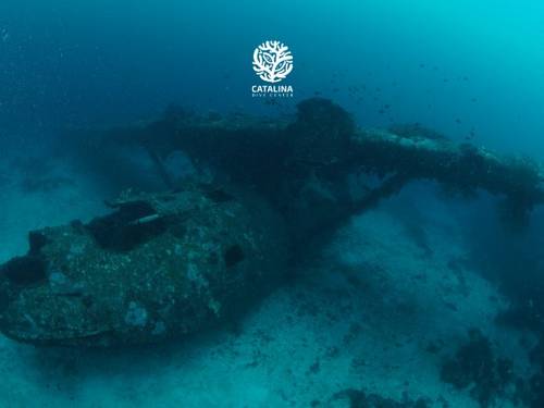Catalina Dive Center Biak