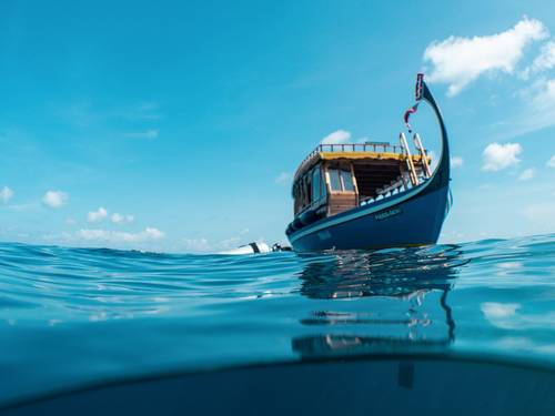 Dive Butler Amilla