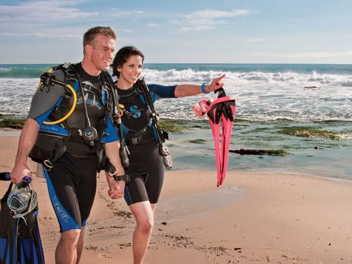 Ocean Divers VZW