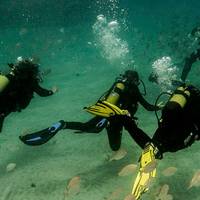 Safari Diving Lanzarote
