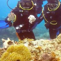 Yegrina Dive Resort
