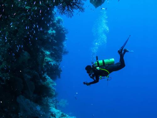 DiveTime Zanzibar Dive Center