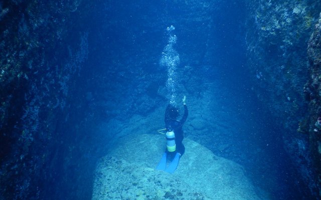 Diving in Japan: Hammerheads, Ice Floes, and a Monument Nobody Can Explain