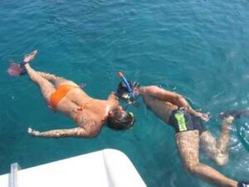 Hippocampos Dive Center