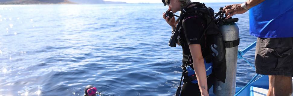 Dive Oahu