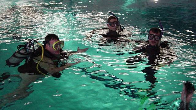 Delfin Divers Tauchsport