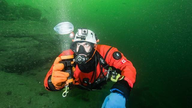 Ocean Pro Divers