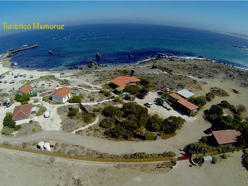 Memo Ruz Cl