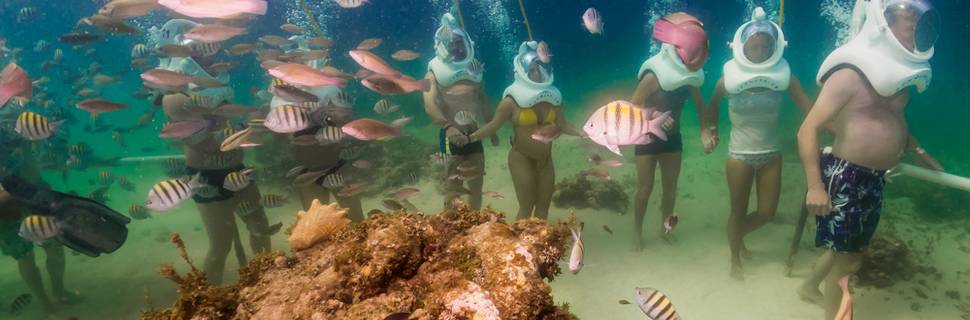 Seaquarium Punta Cana
