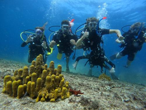 Didim Milet Diving Center