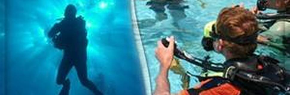 activeDIVE