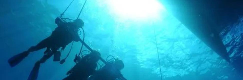 Nemo Dive Club