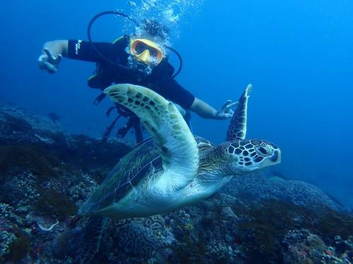 Nusa Dua Dive Centre