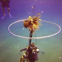 Aqua Adventures by Scuba Dive Sosua