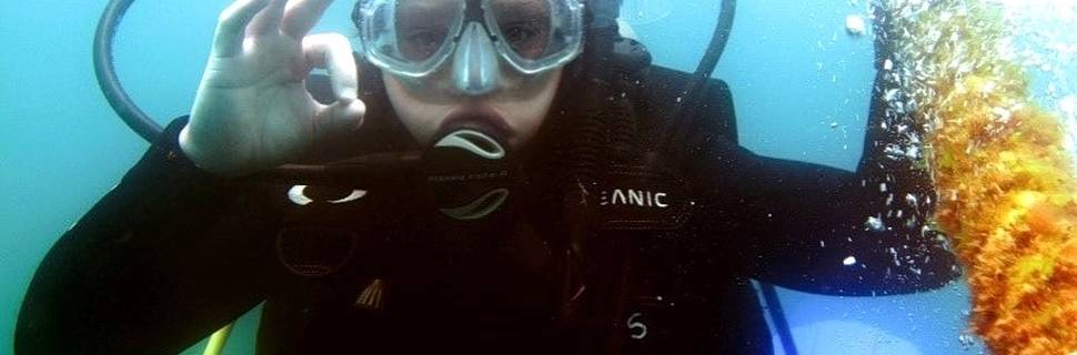 Bucea Hoy - Dive Today