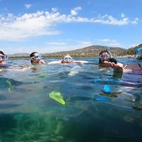Kanelakis Diving Experiences