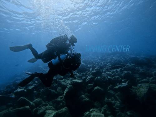 Sea Rabbit Diving Center