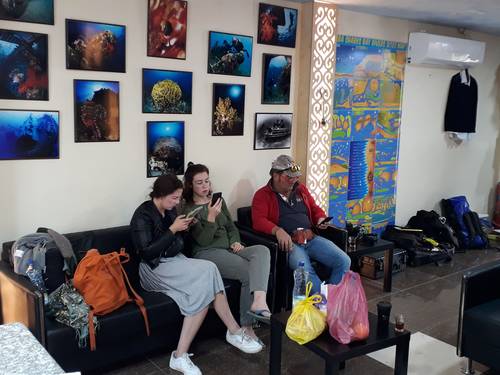 Aqaba Sharks Bay Divers