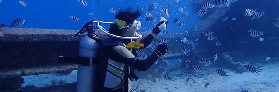 Dive Award Tsudanumaekimae