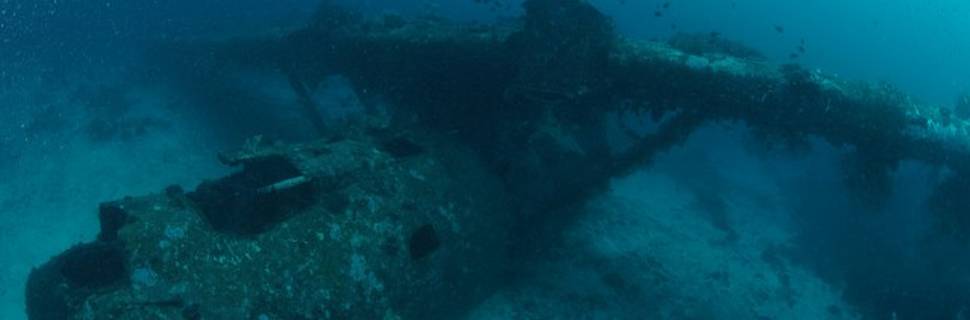 Catalina Dive Center Biak