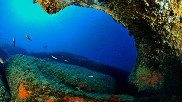 Explorers Team Dive Center