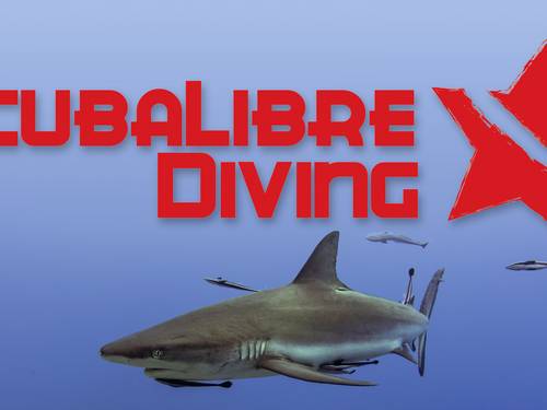 Scuba Libre Diving Ltd