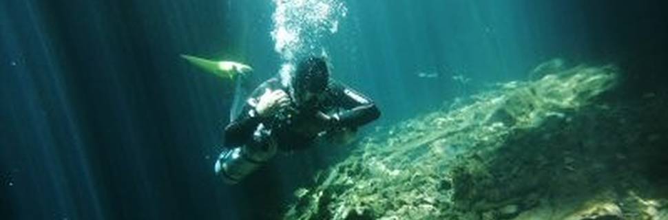 Diving Yucatan