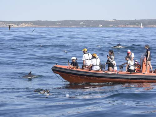 Marilimitado Dive Center