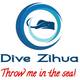 Dive Zihua