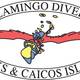 Flamingo Divers