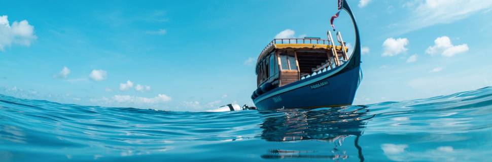 Dive Butler Amilla