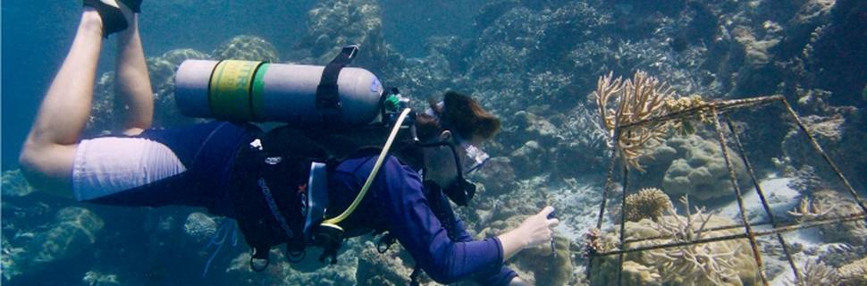 Best Dives Pvt Ltd