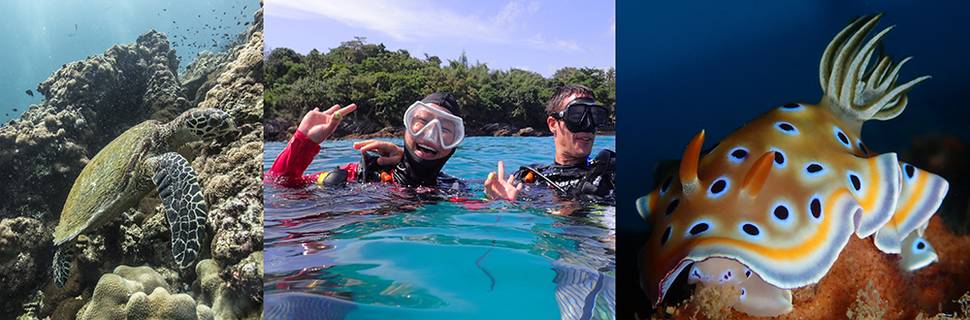 Local Dive Thailand