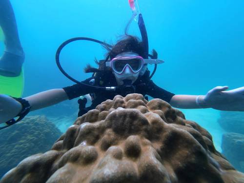 Batu Batu Dive