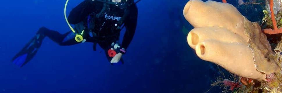 Rec & Tek Scuba Inc.