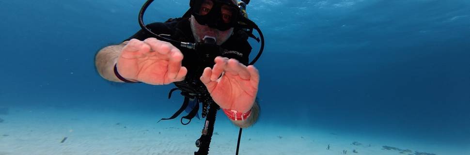 Vision Oceanos – SSI Dive Center Cancun