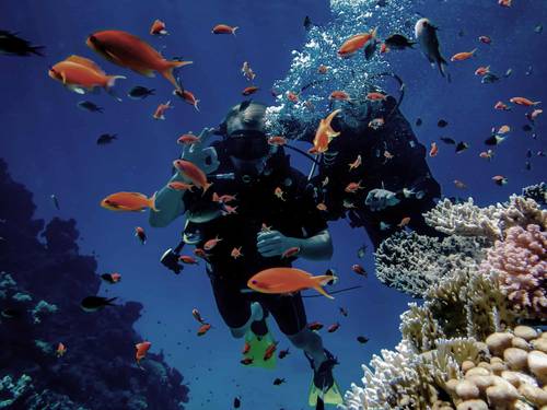 Marsa Adventure Divers