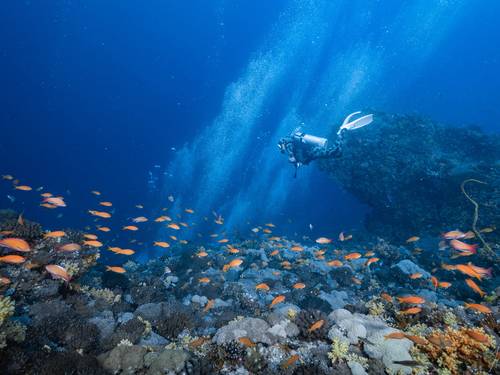 Taiwan Dive Center GreenIsland